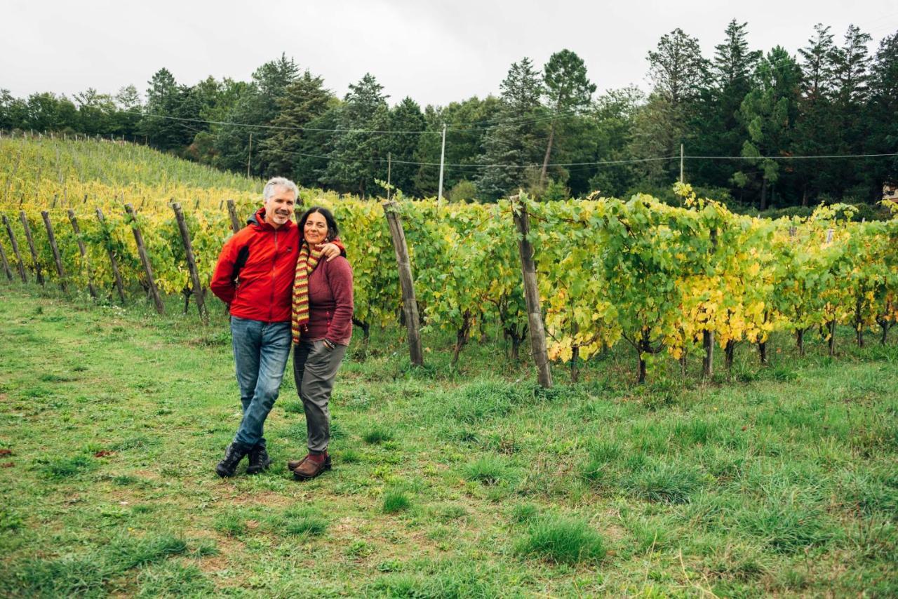 Podere Orto Wine Country House 트레비나노 외부 사진