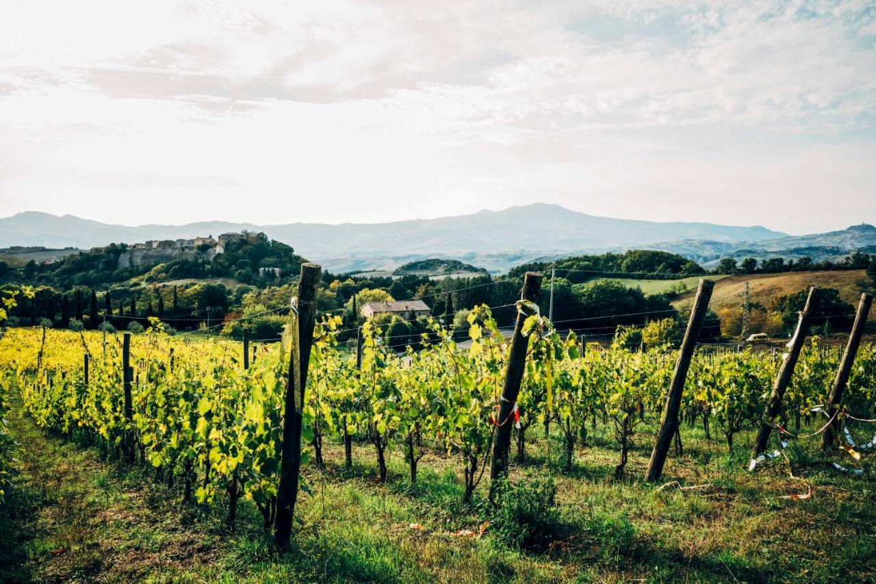 Podere Orto Wine Country House 트레비나노 외부 사진