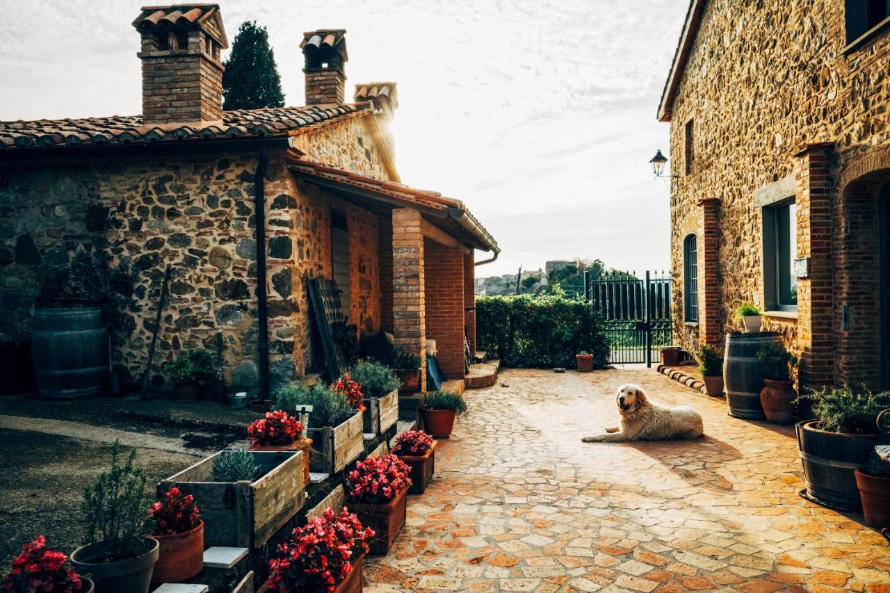 Podere Orto Wine Country House 트레비나노 외부 사진