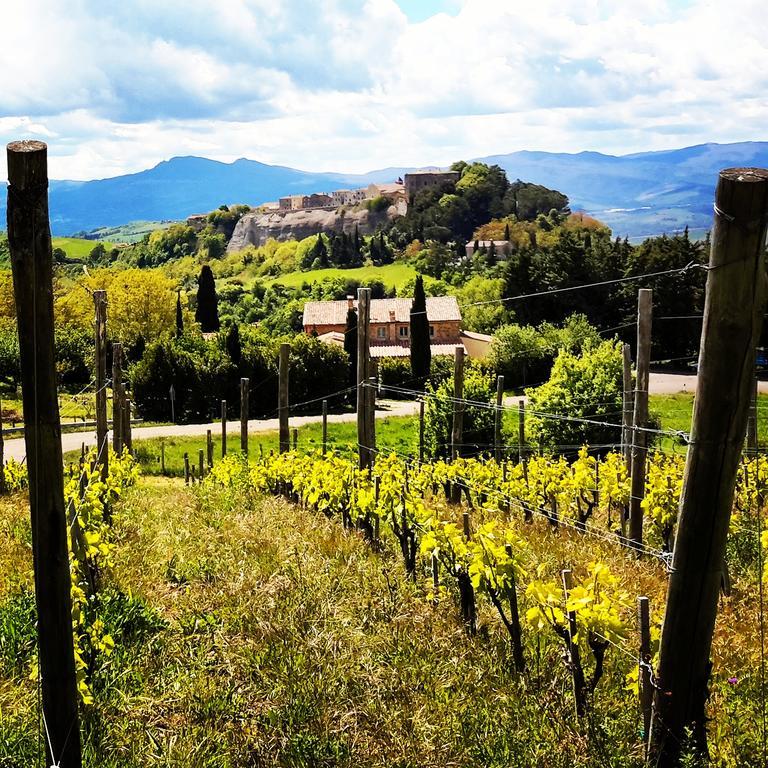 Podere Orto Wine Country House 트레비나노 외부 사진